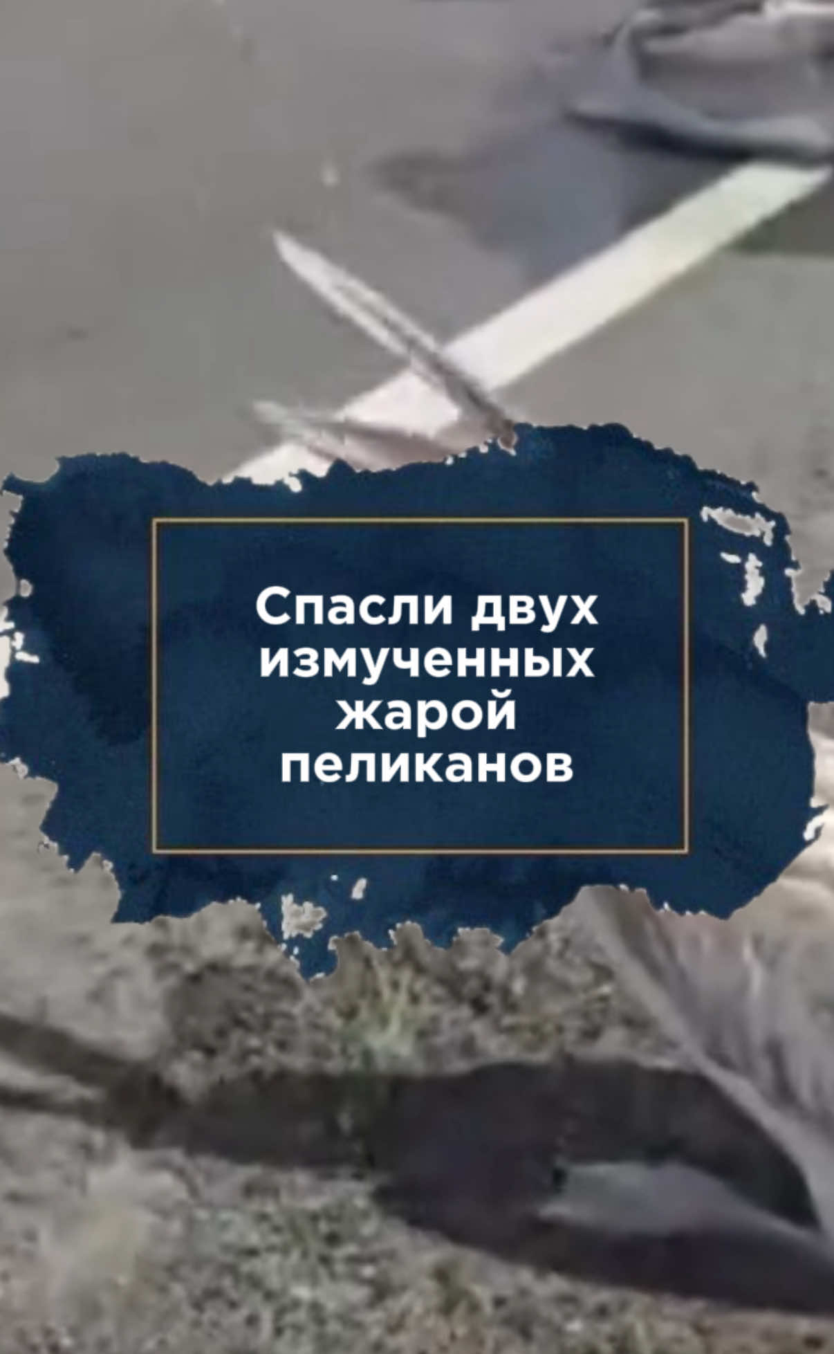 @zakon.kz ➡️ Новости Казахстана