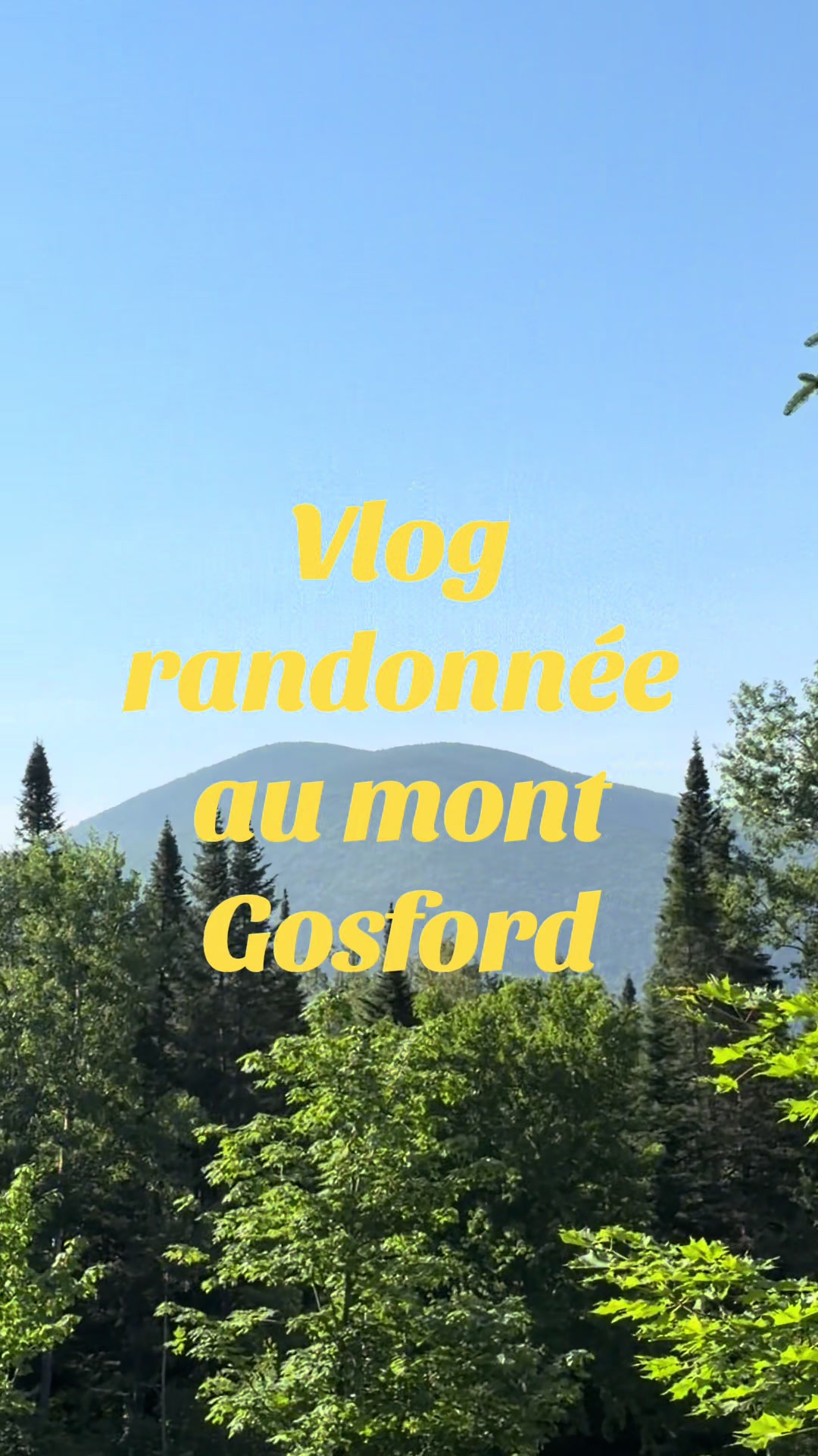 @Rosalie Gilbert