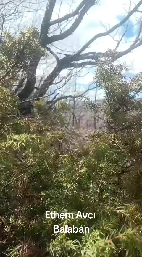 @𓅂Ethem𓅓