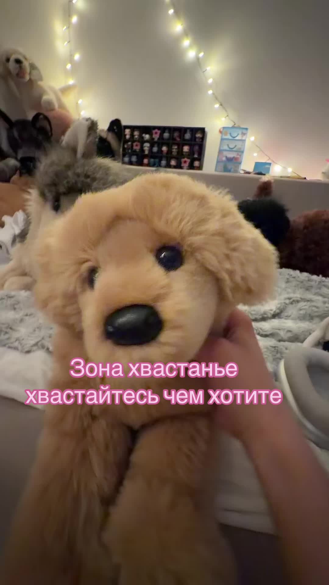 @НИКСА?#ПДБ/PDB ★彡