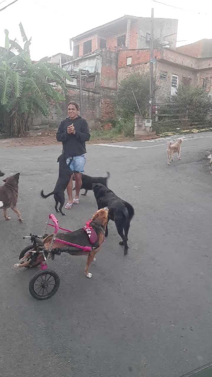 @Ismael e sua AuAuCreche 🐶💖