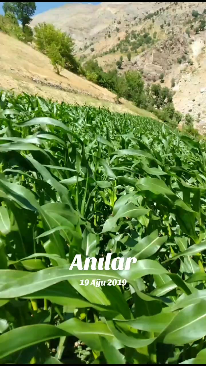 @mustafa_poyraz02