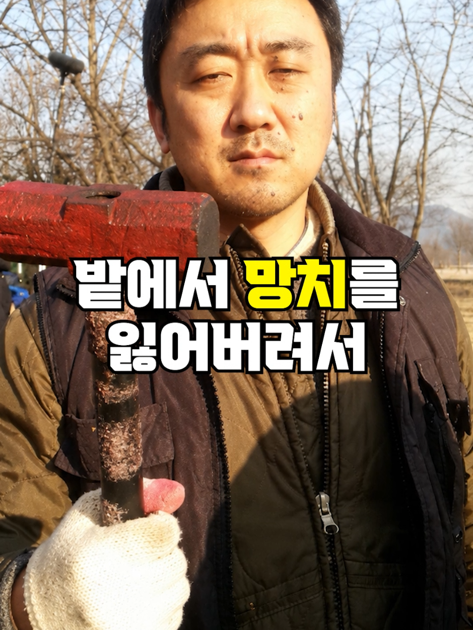 @뚝딱 상식 뚝배기
