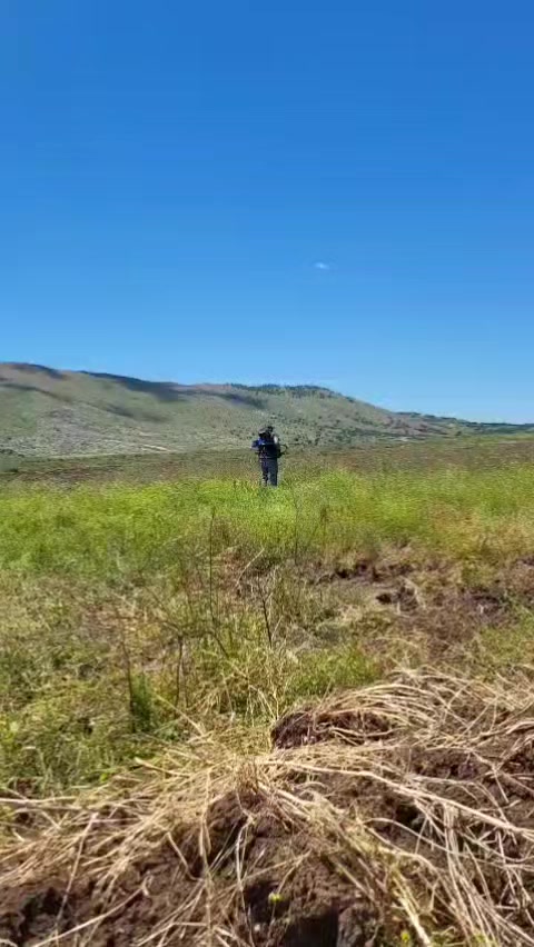 @Ibrahim Gültekin3905