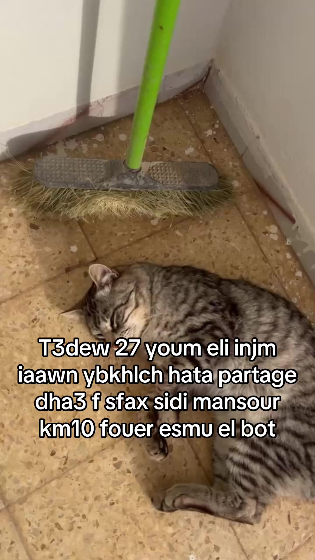 @El Bot