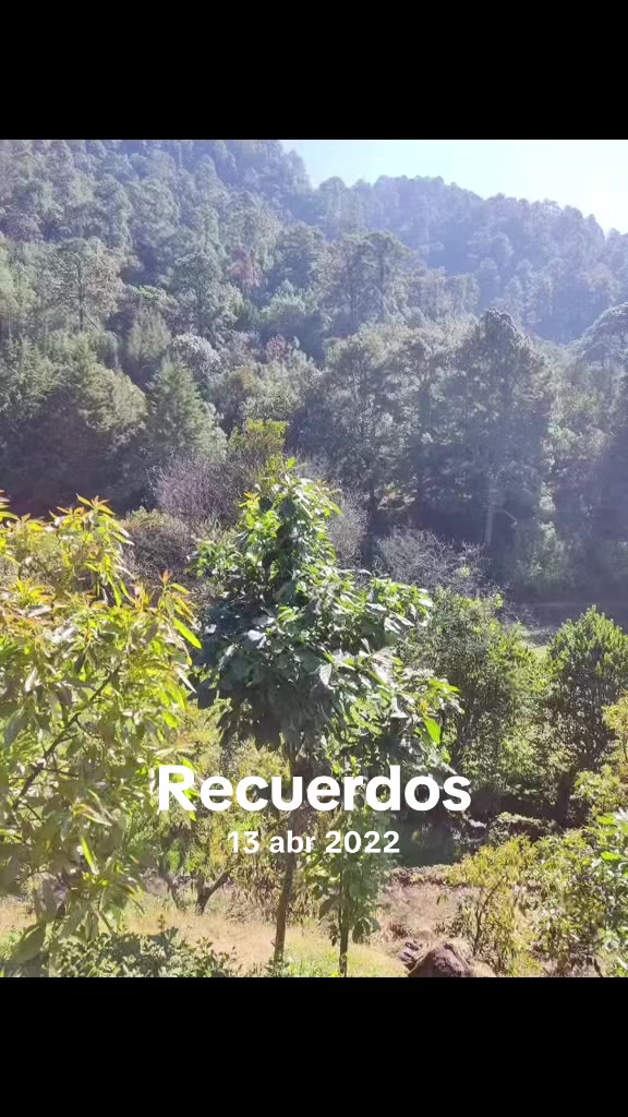 @Danny S&aacute;nchez