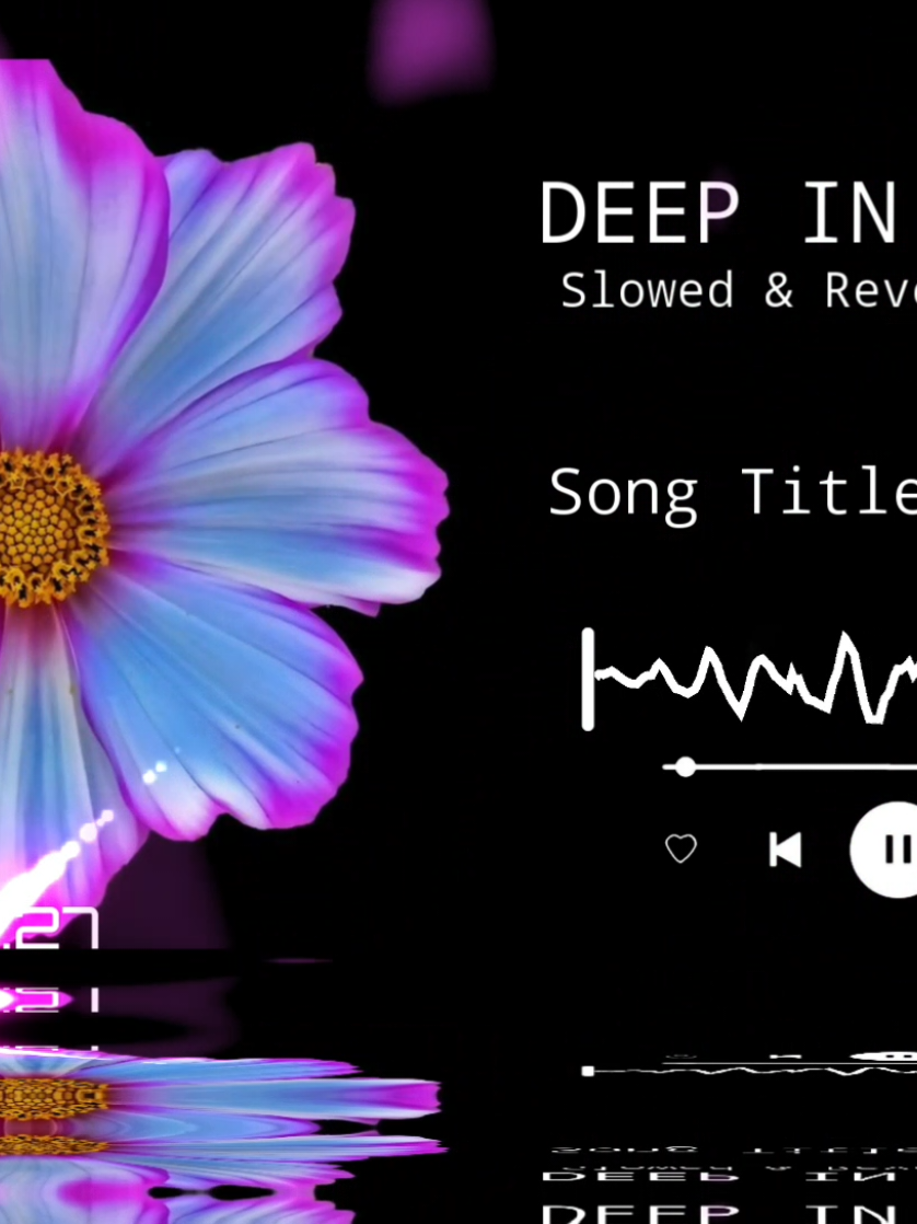 @ALEXA MUSIC