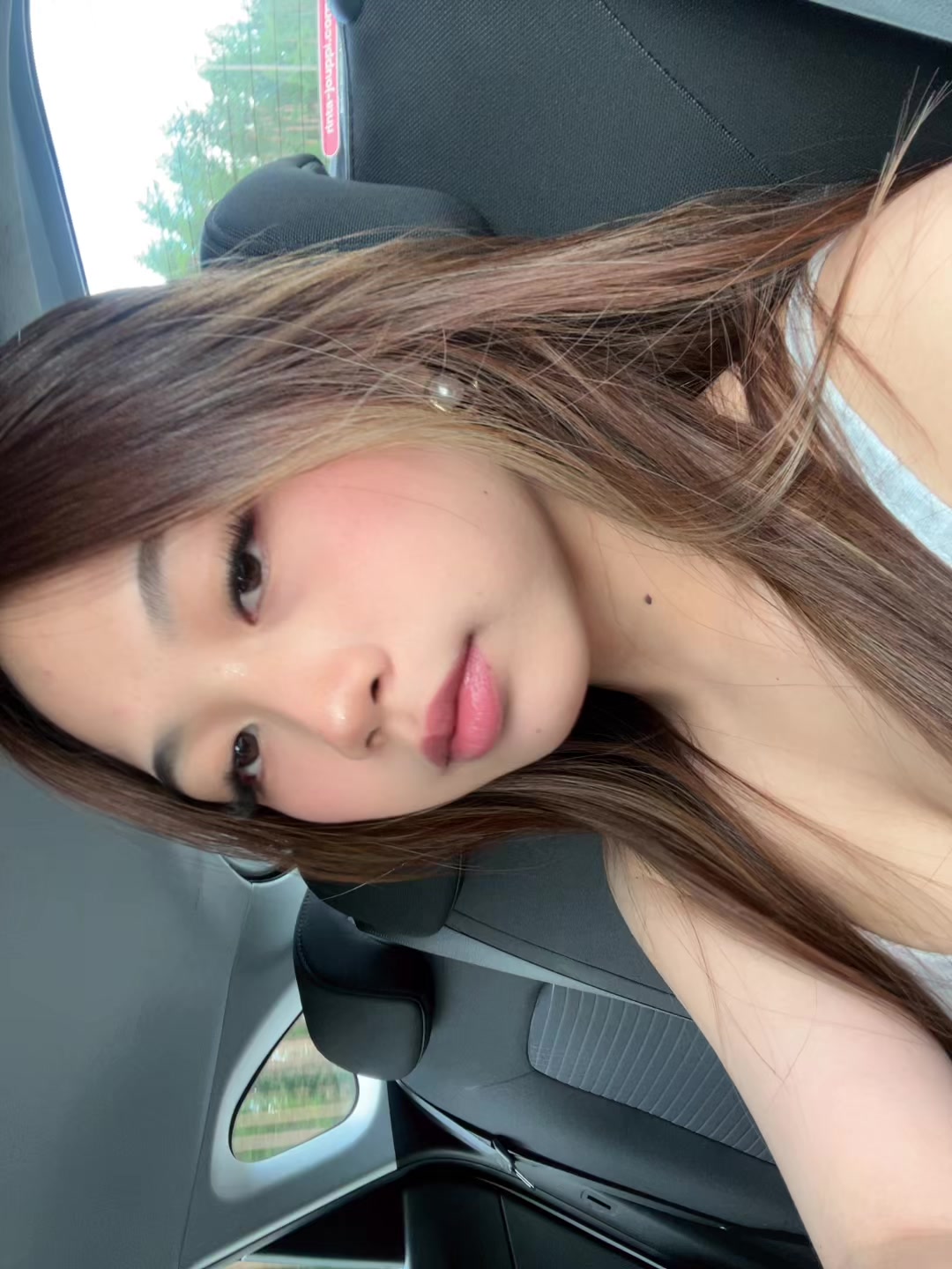 @≽^&bull; ˕ &bull; ྀི≼