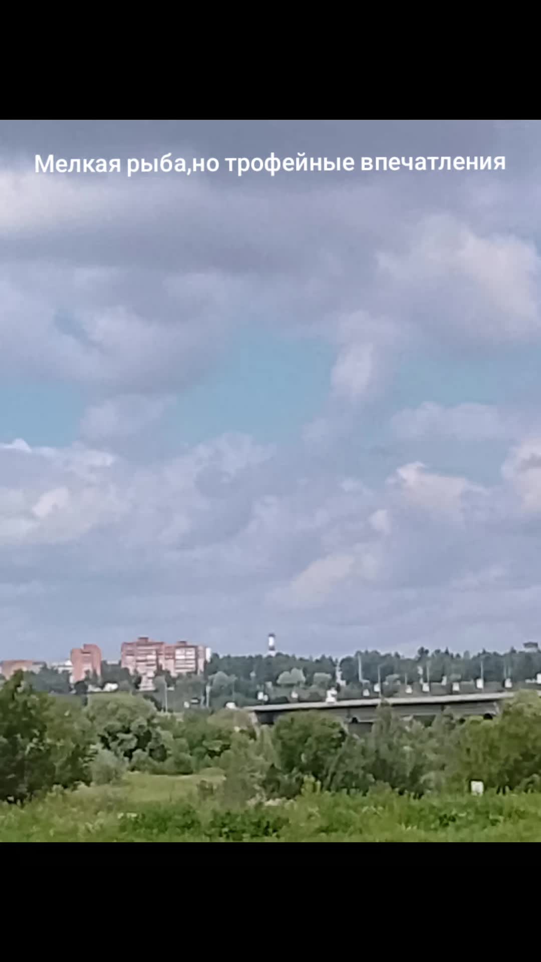 @Маргарита Шнейдерова