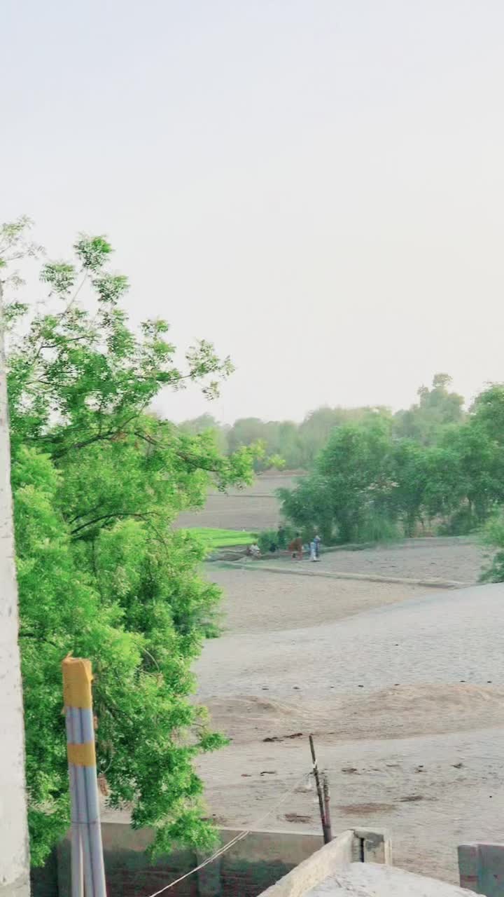 @King-Panah-Sindhi