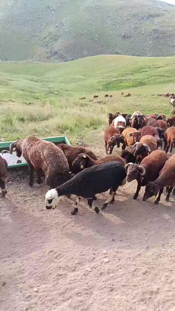 @eyyüp. beki. 🥀🥀🥀🥀