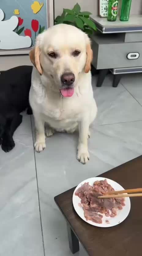@Funny