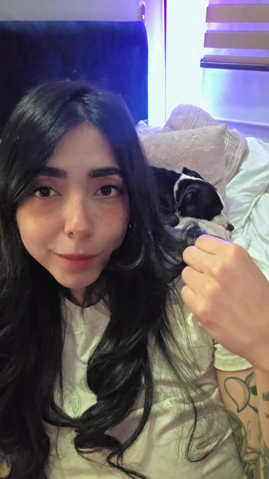 @miau.milou