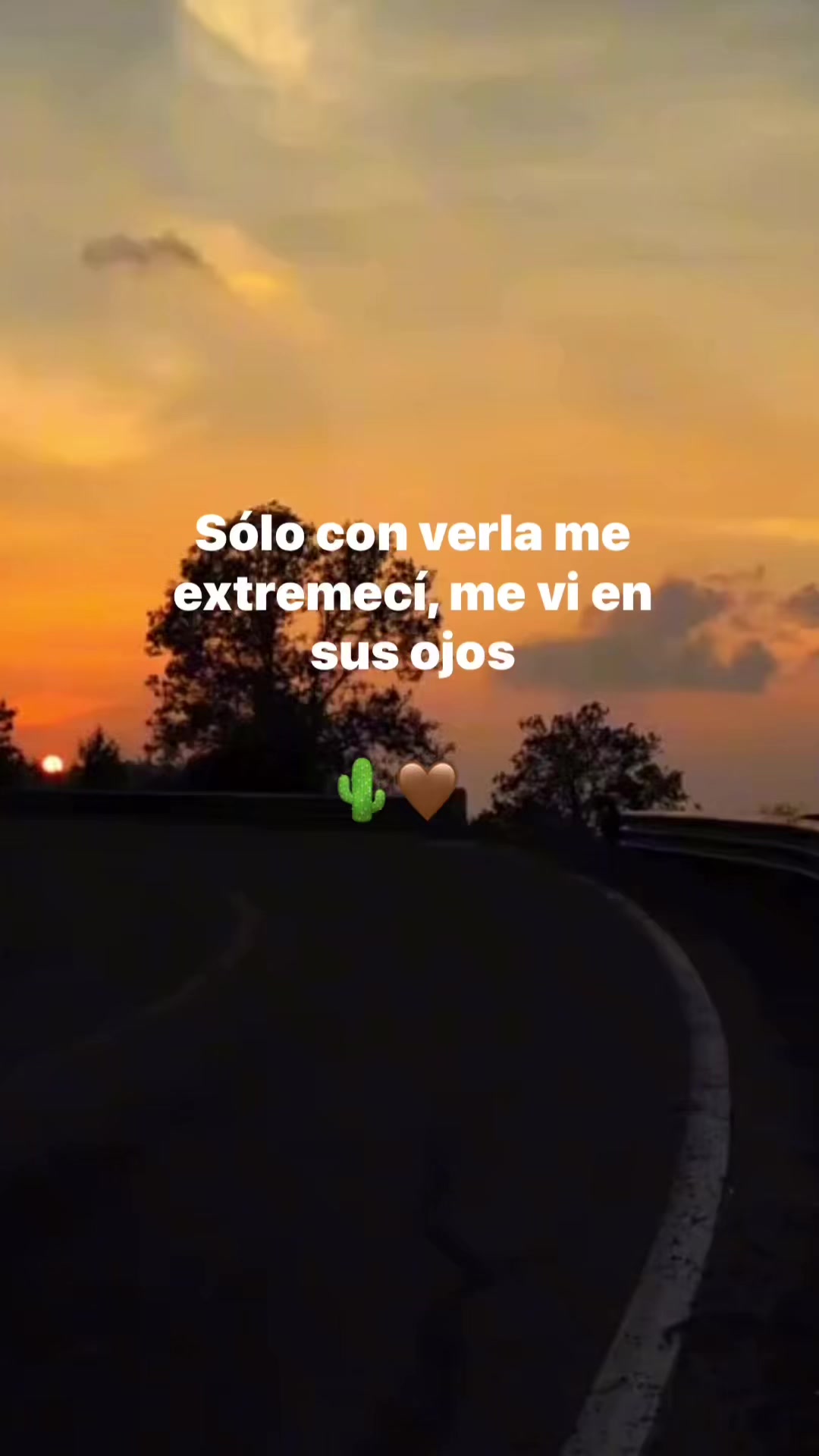@&hearts;︎Flor&hearts;︎