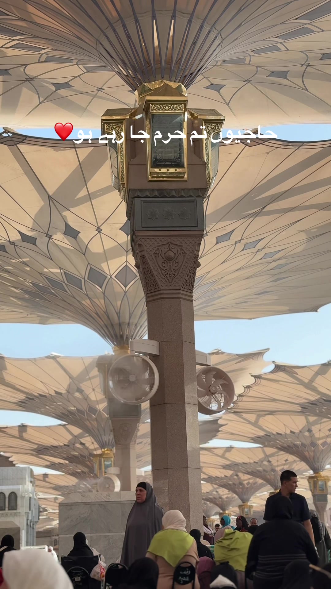@ام ہانی🦋✨