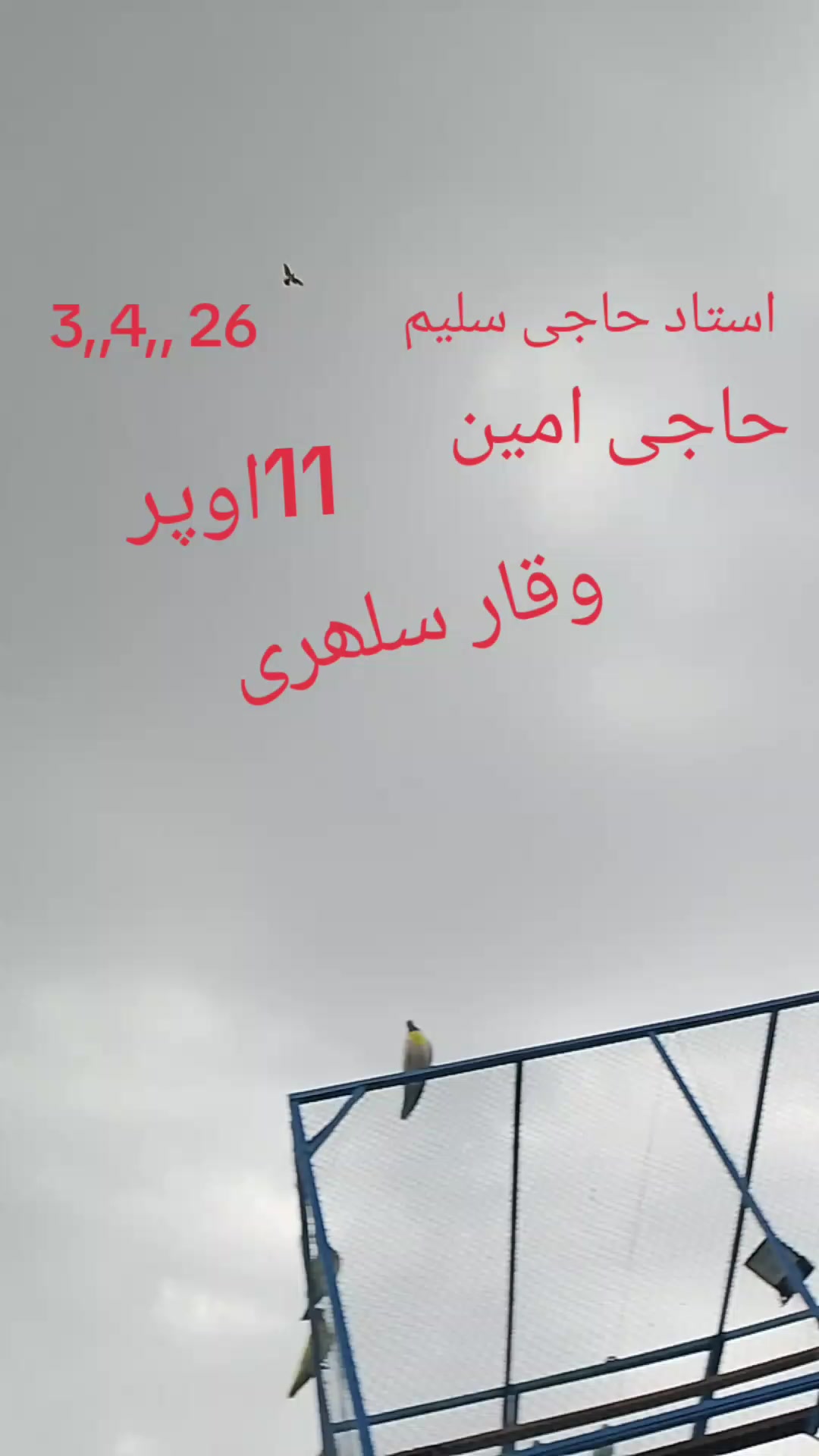@waqarsulehri555