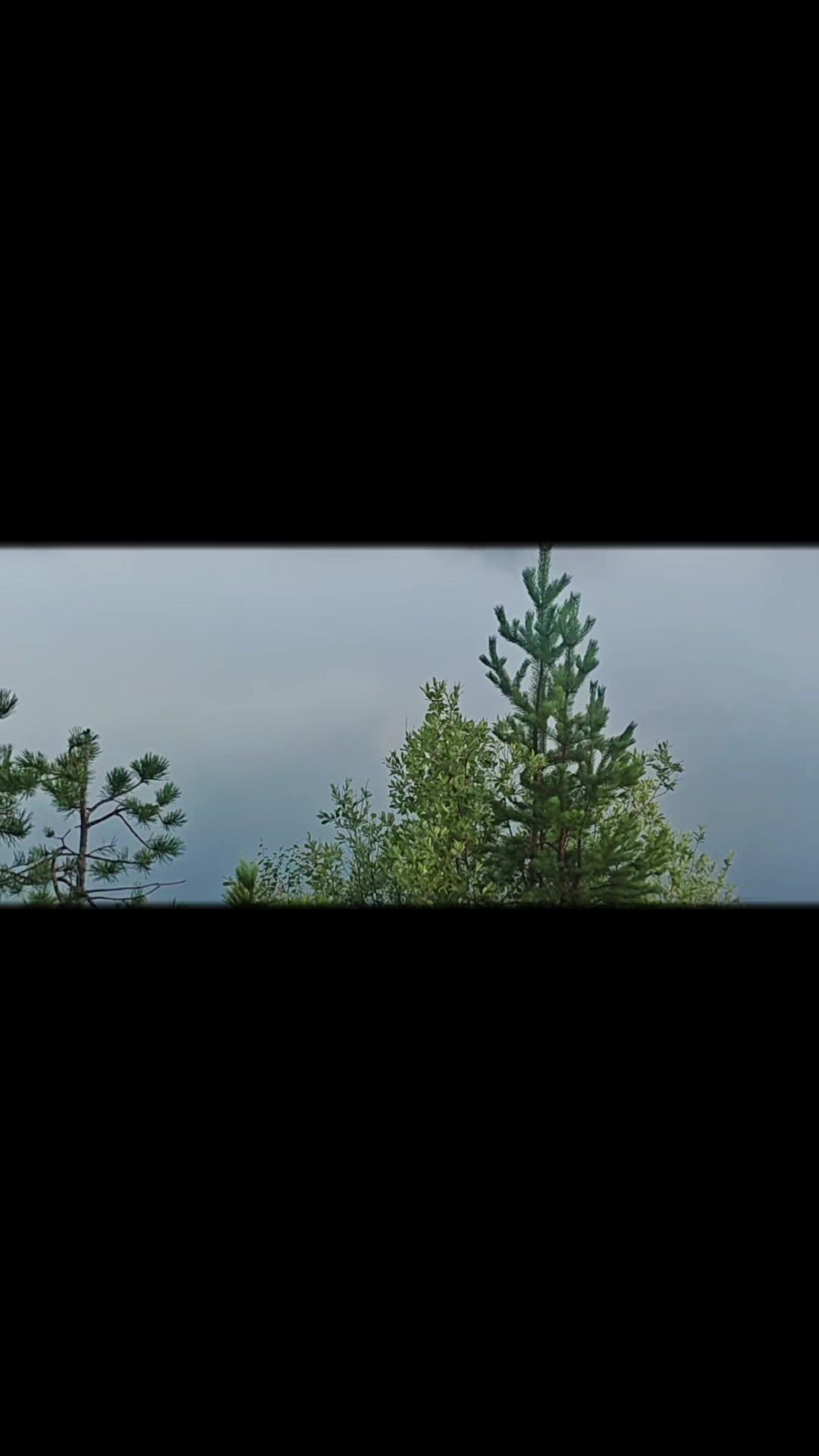 @Зульфия & студия Афростиль186