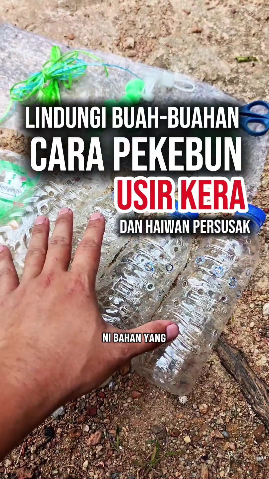 @Maswaninorsyahida