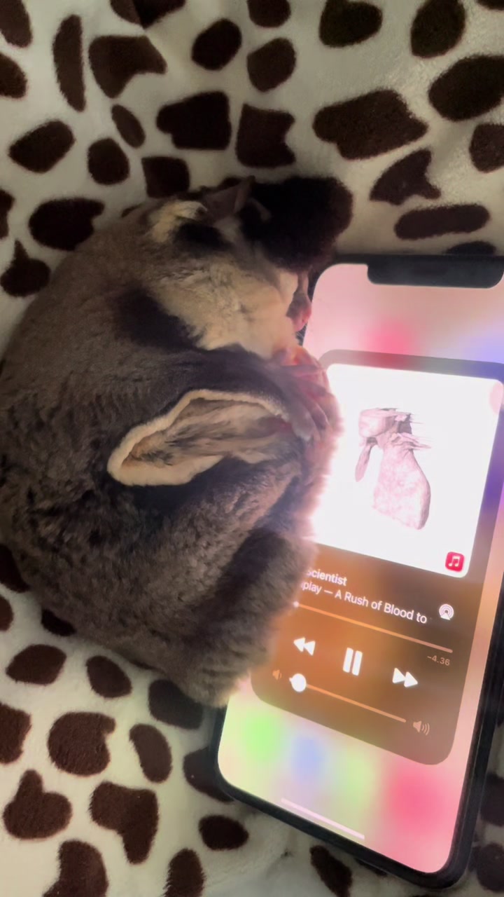 @Sadglider