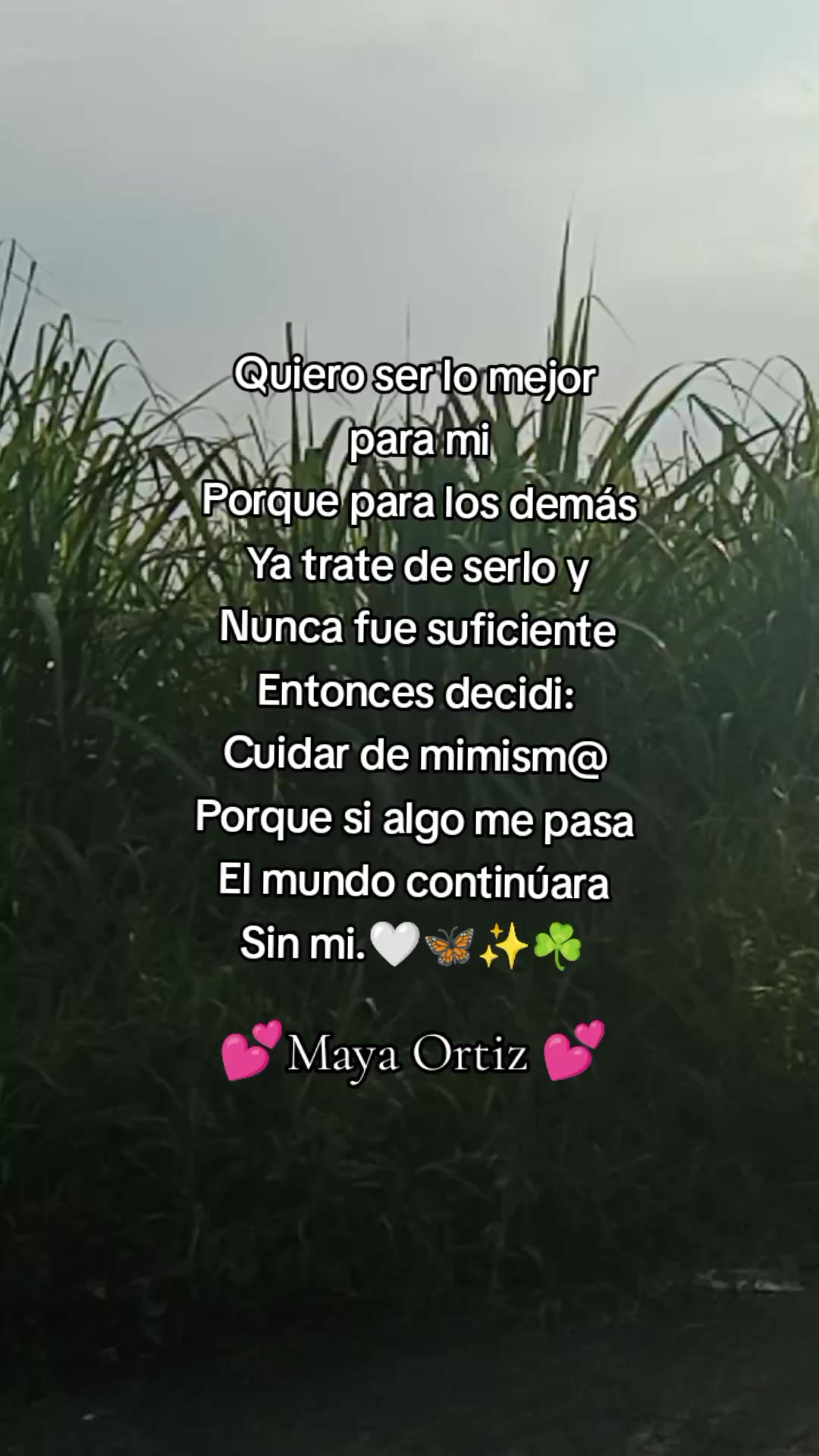 @Maya Ortiz