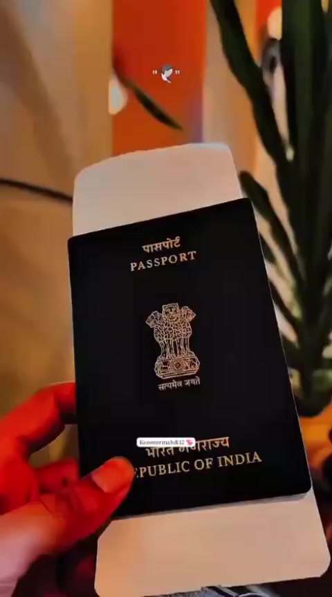 @kaneezemahdi 💞