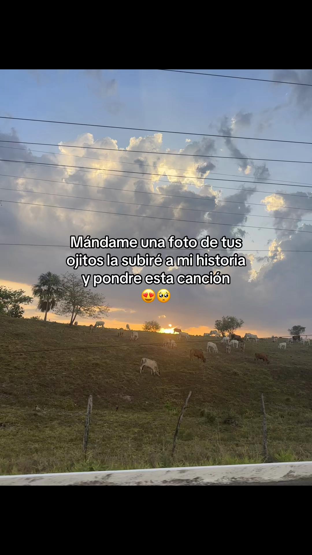 @🎧Rolitas🎶