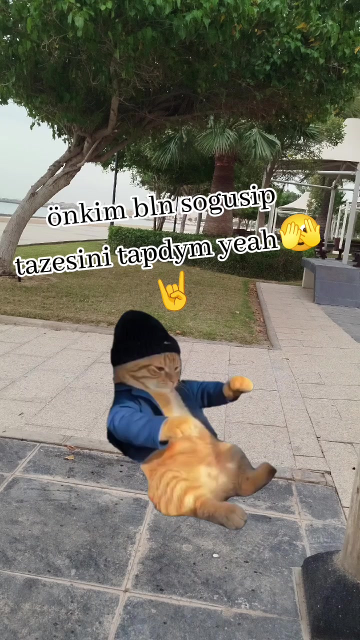 @⚡⚡⚡⚡