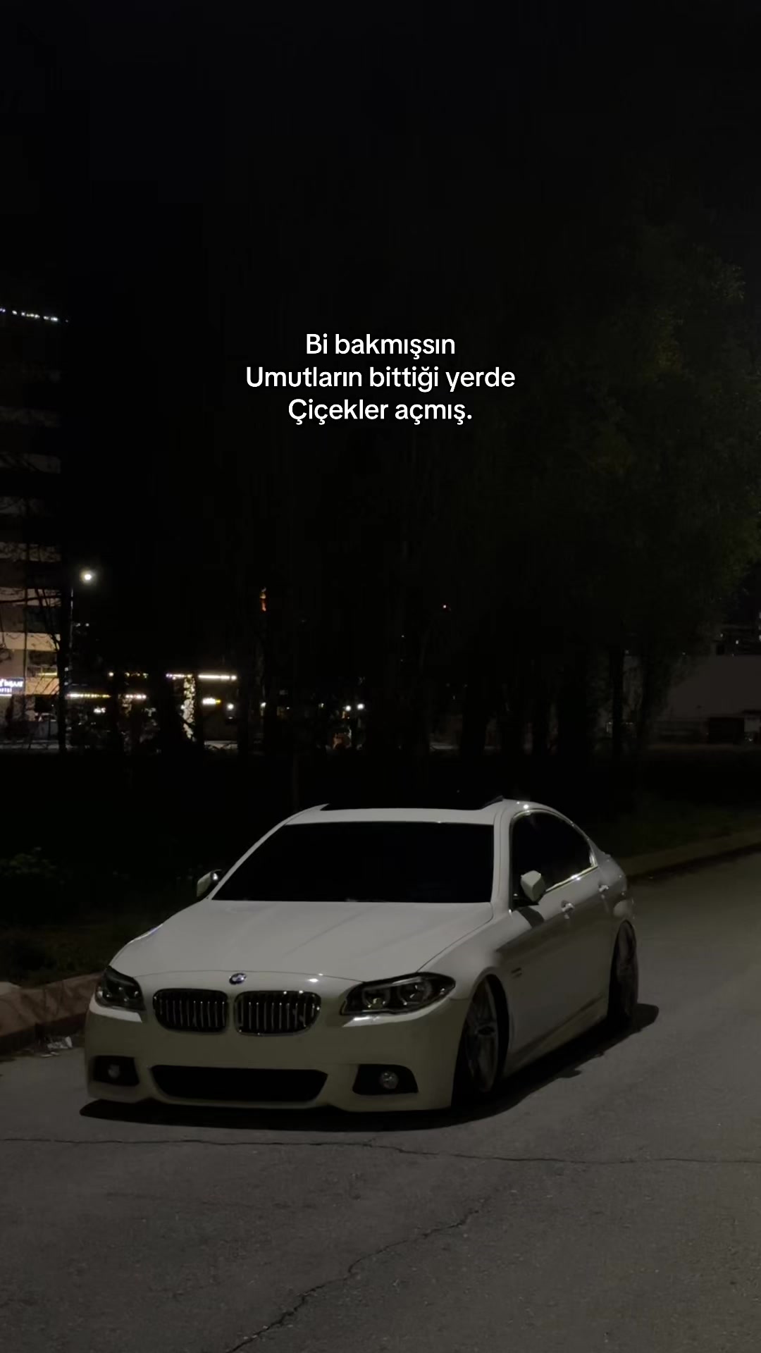 @B B
