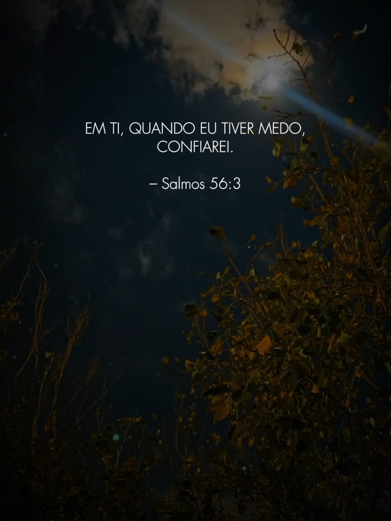 @Paz em Foco