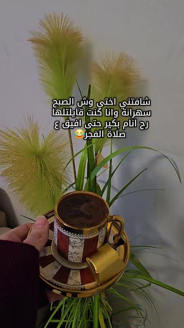 @Lelav2233
