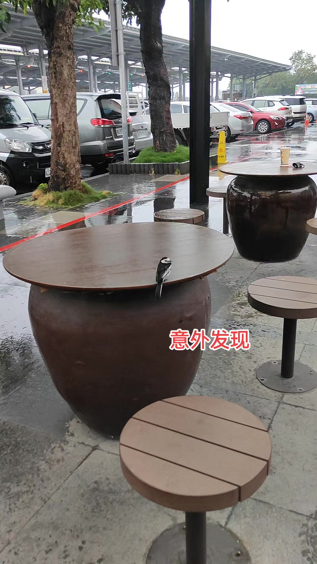 @宇_W E N
