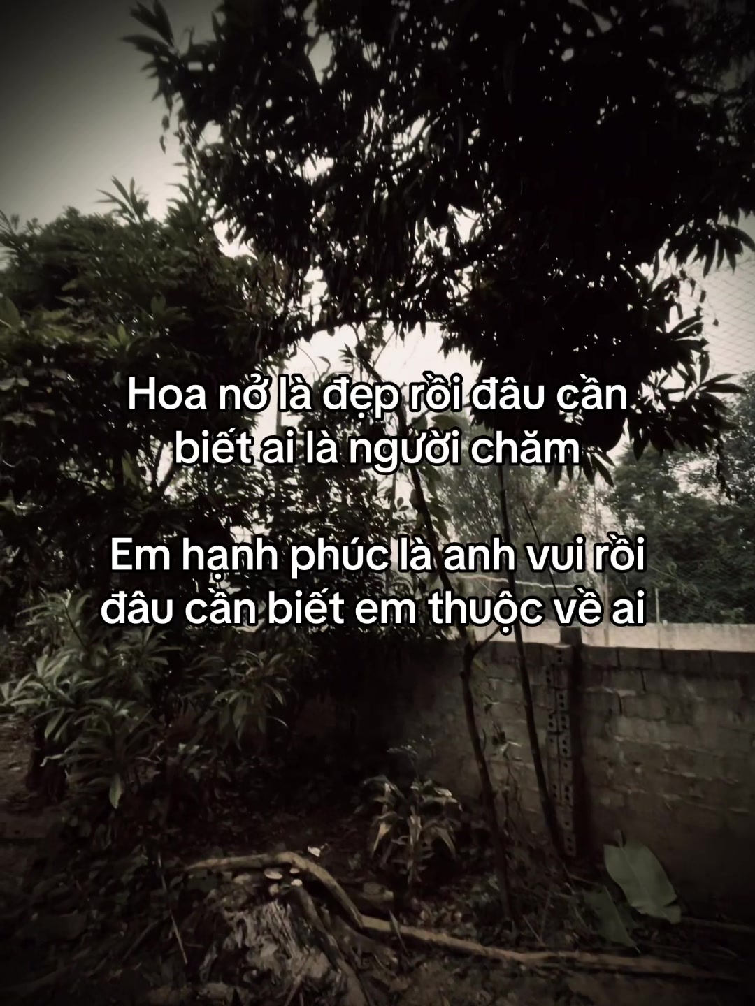 @htsgudcv
