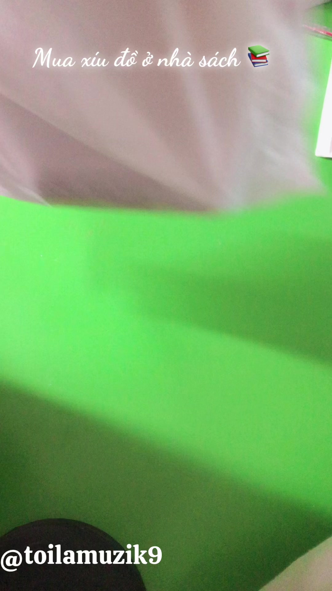 @ᥫᩣ⋆ᴘнươɴԍ.ೃ࿔ᰔᩚ🐼