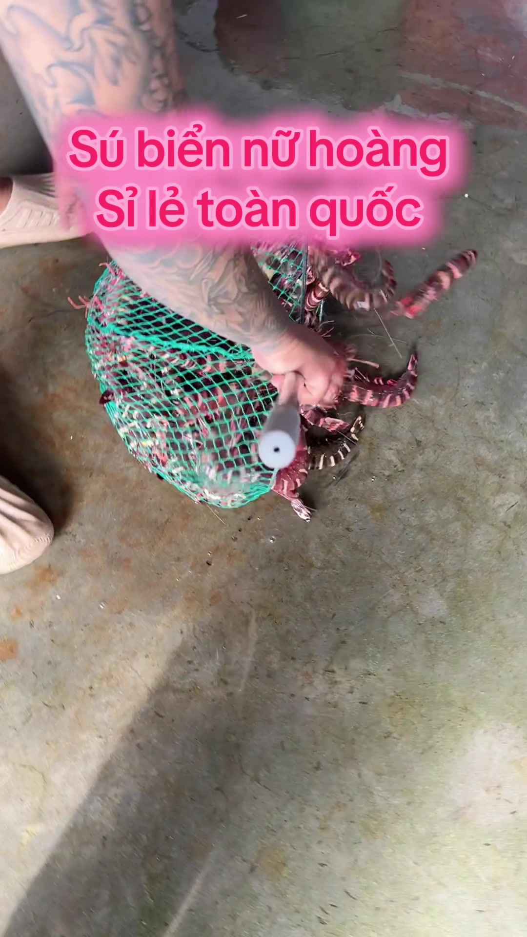 @Thịnh Sú Biển