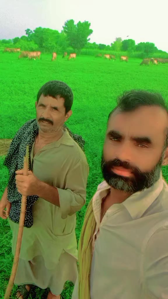 @Falak Sher Baloch