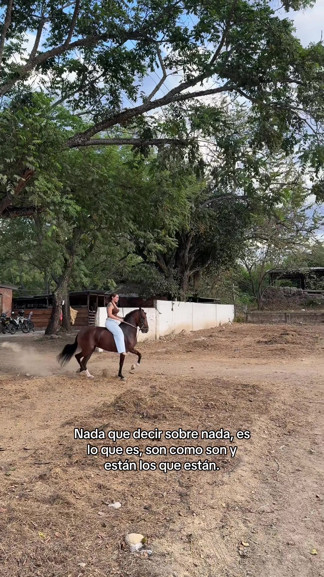 @Tatiana Delgado