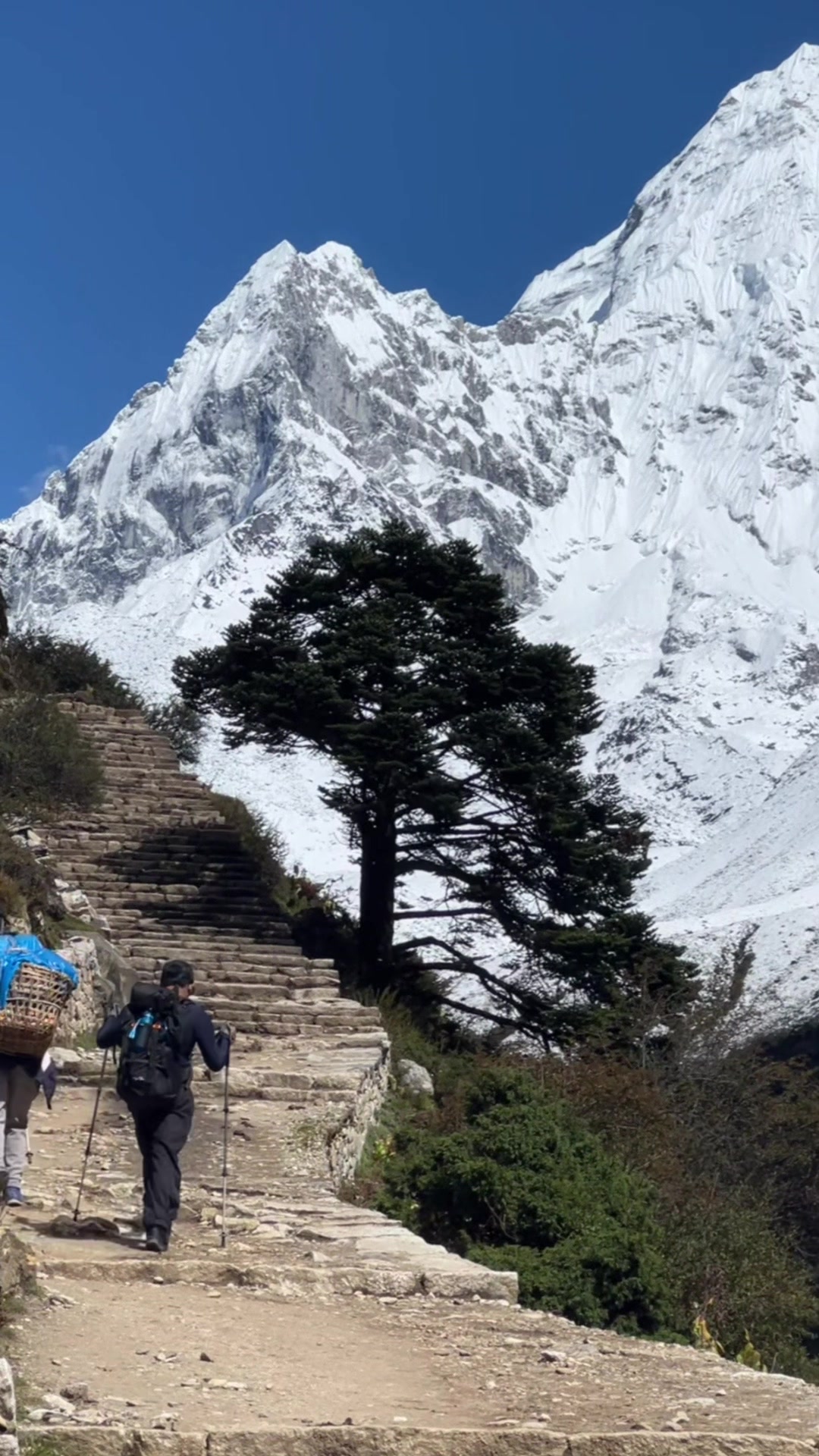 @lostinthehimalaya.com
