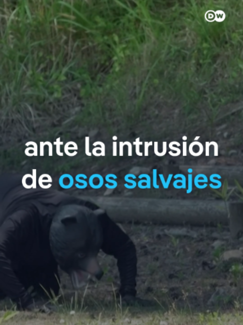 @adn Noticias