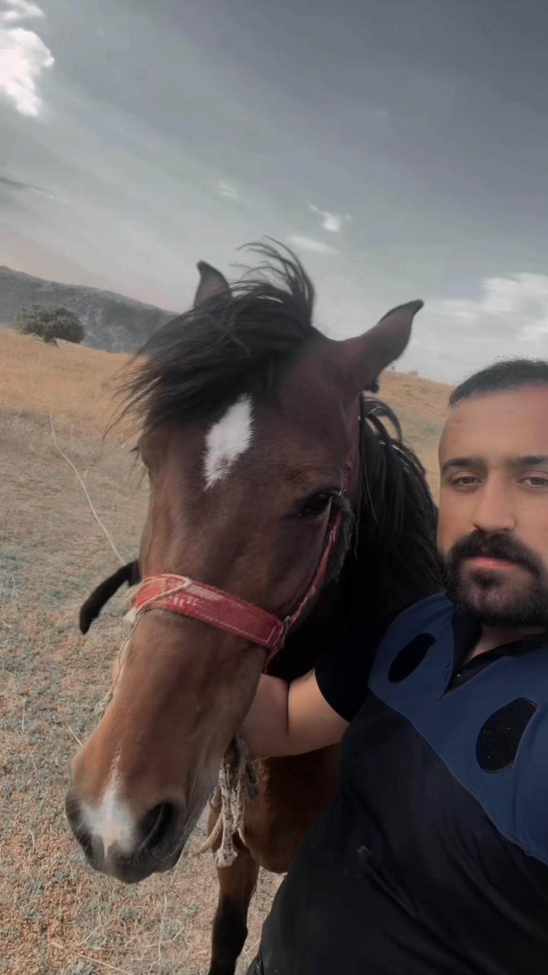@Alperen Eser25