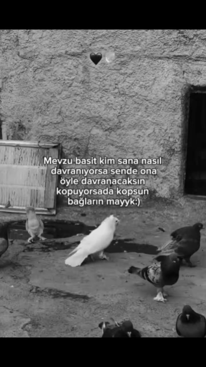 @♛  .мєм&sigma;.ку&alpha;27