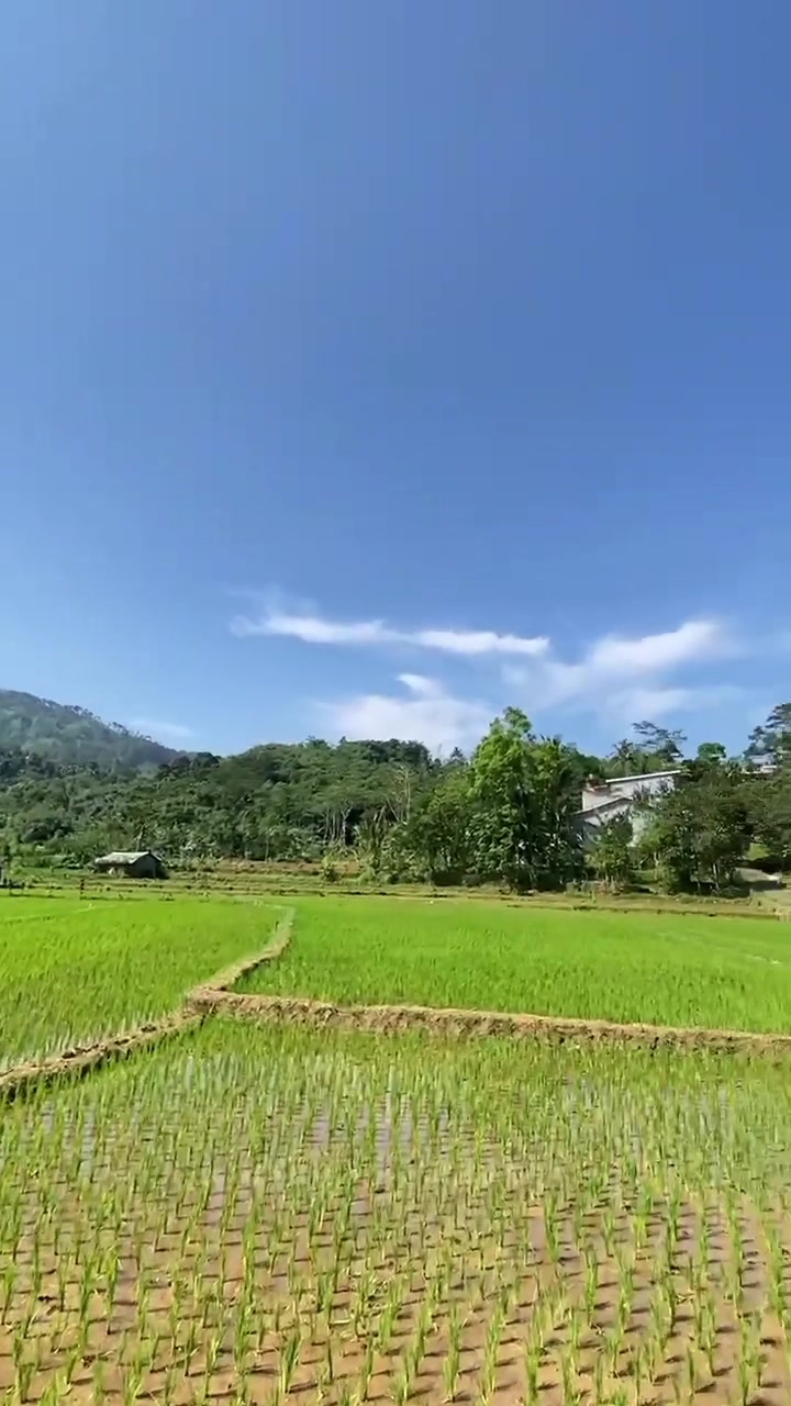 @Explore_watukumpul