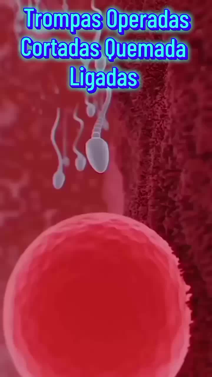 @@NaturalFertilityUSA🇺🇸