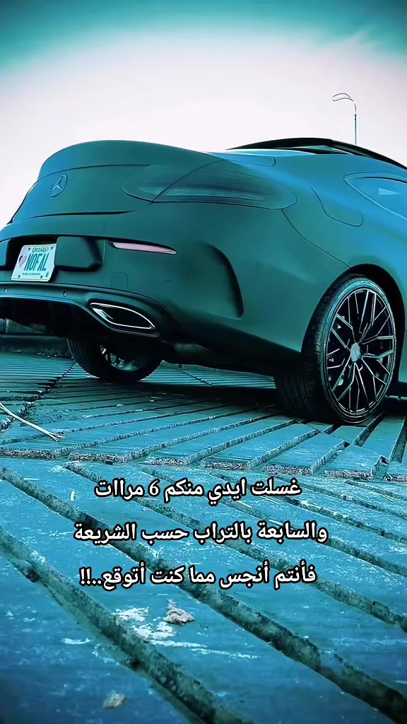 @NOFAL🪶🦅