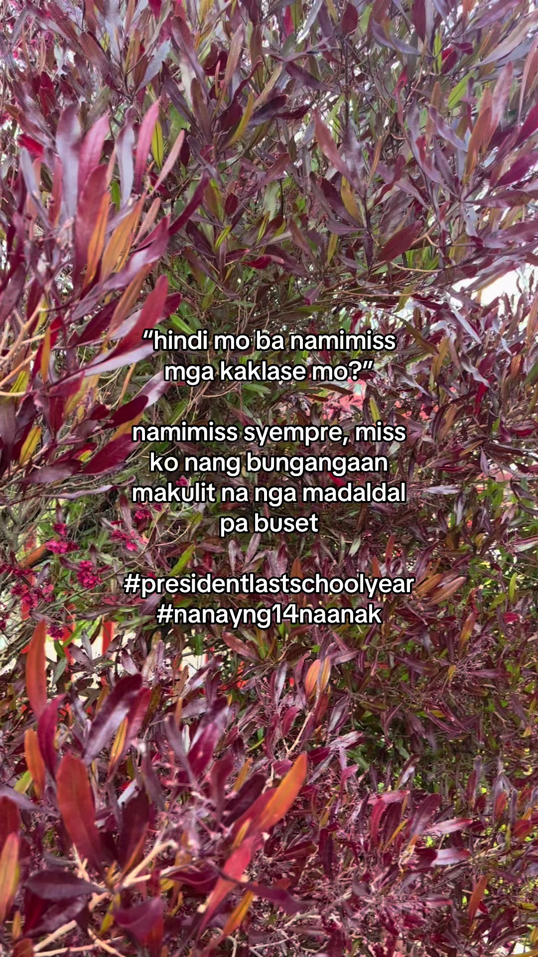 @siopao na masarap