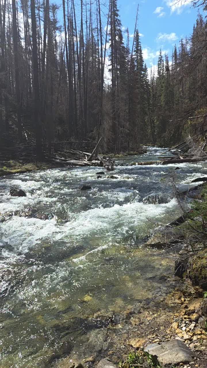 @🍁🇨🇦Kootenaygirl🇨🇦🍁