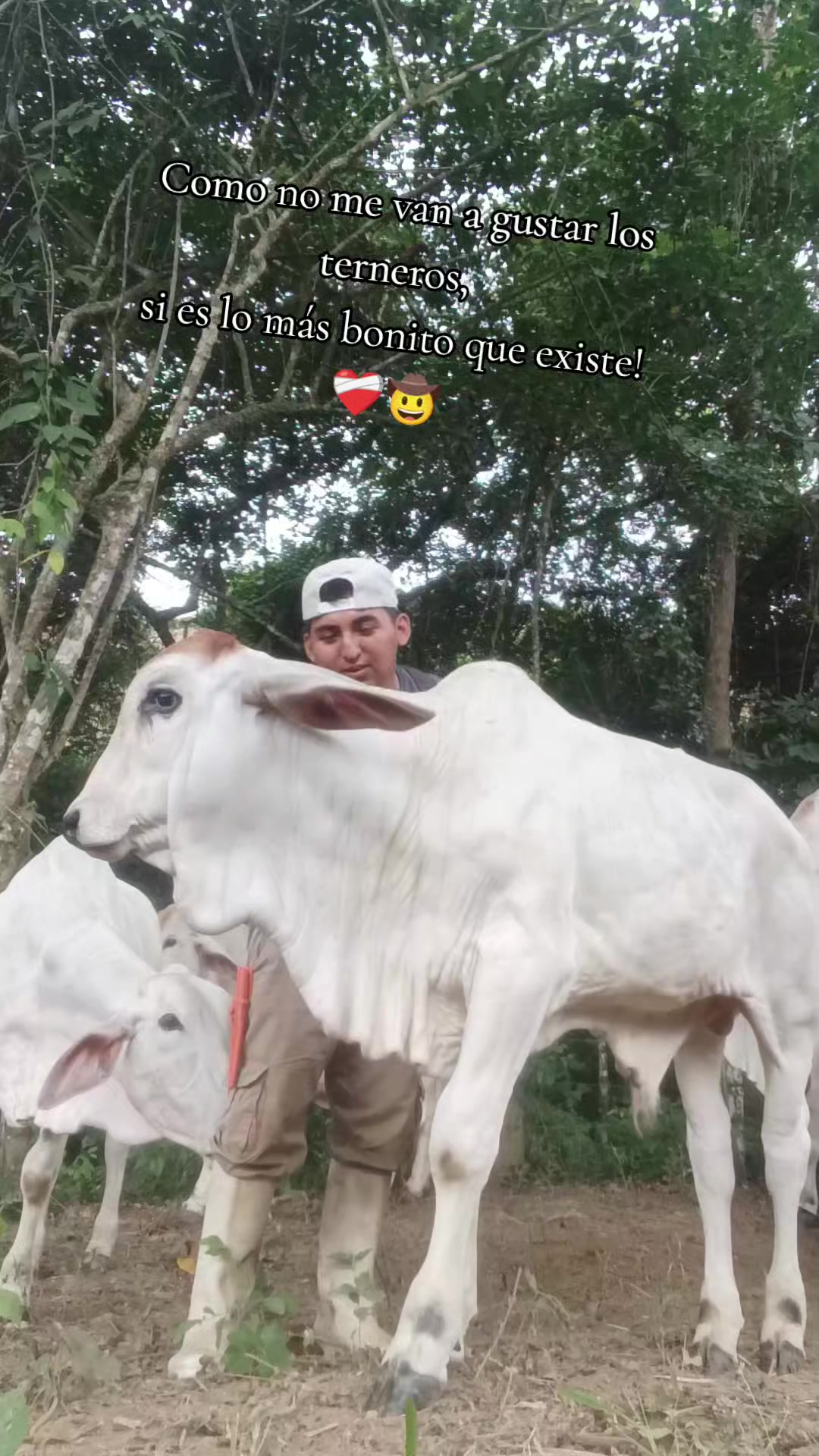 @Jean🤠