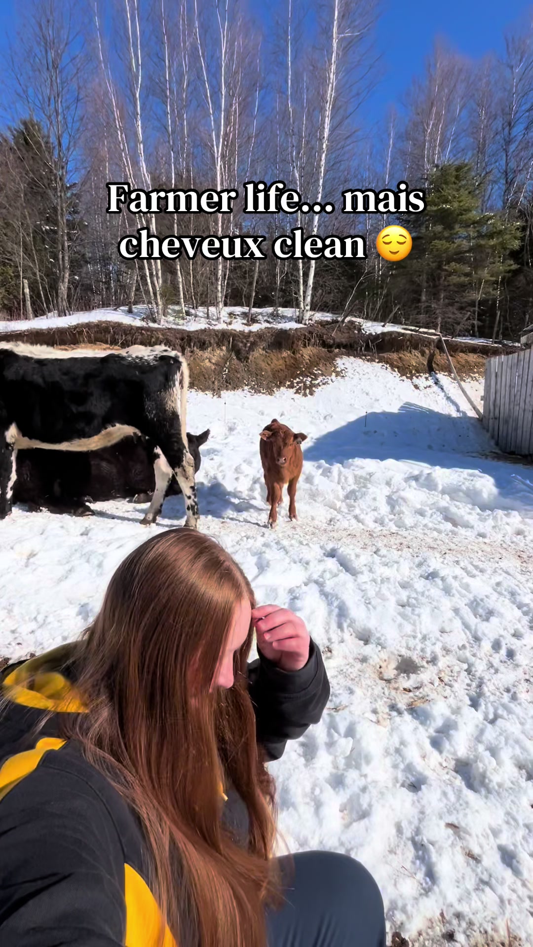 @Marilou Charest🇨🇦🐮🚜