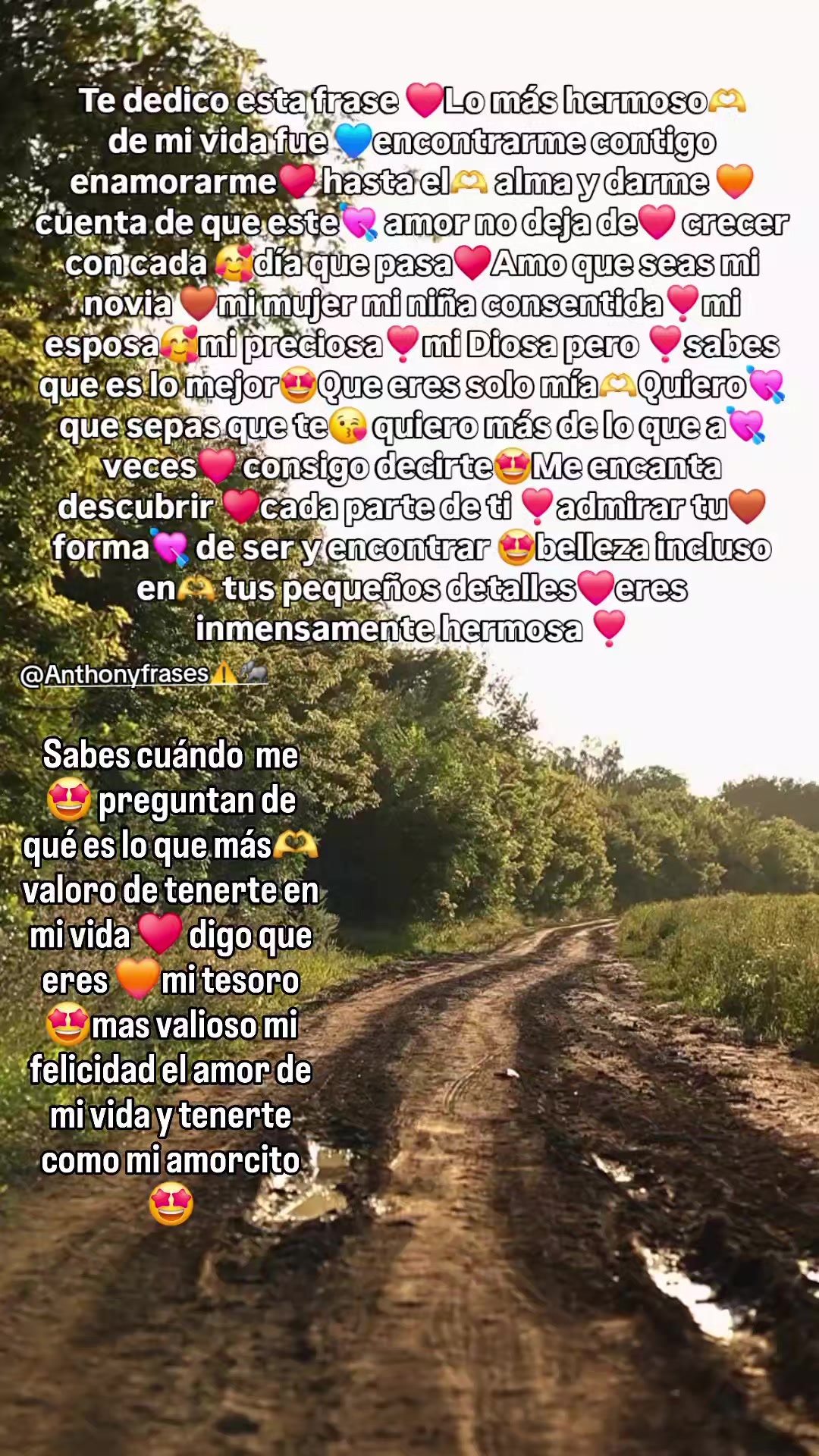 @Anthony frases⚠️🐘