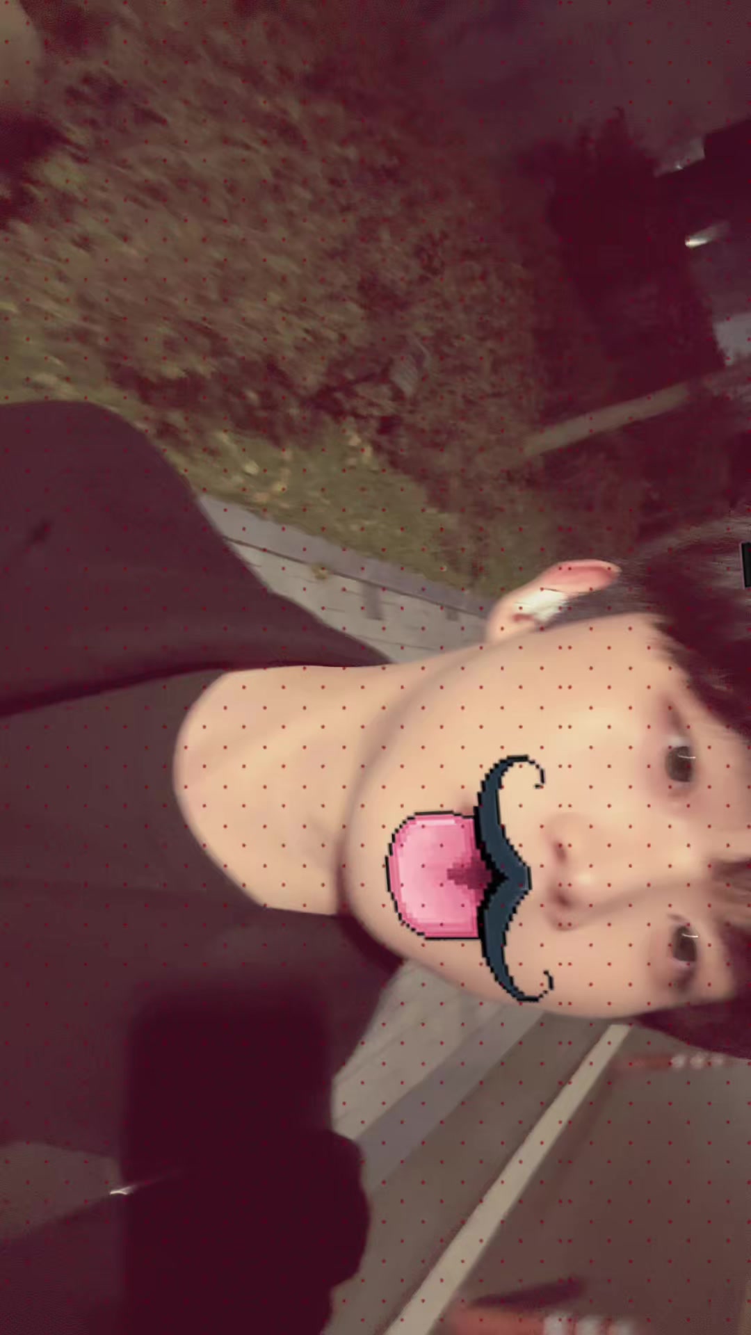 @고양이여덟마리키우는사람