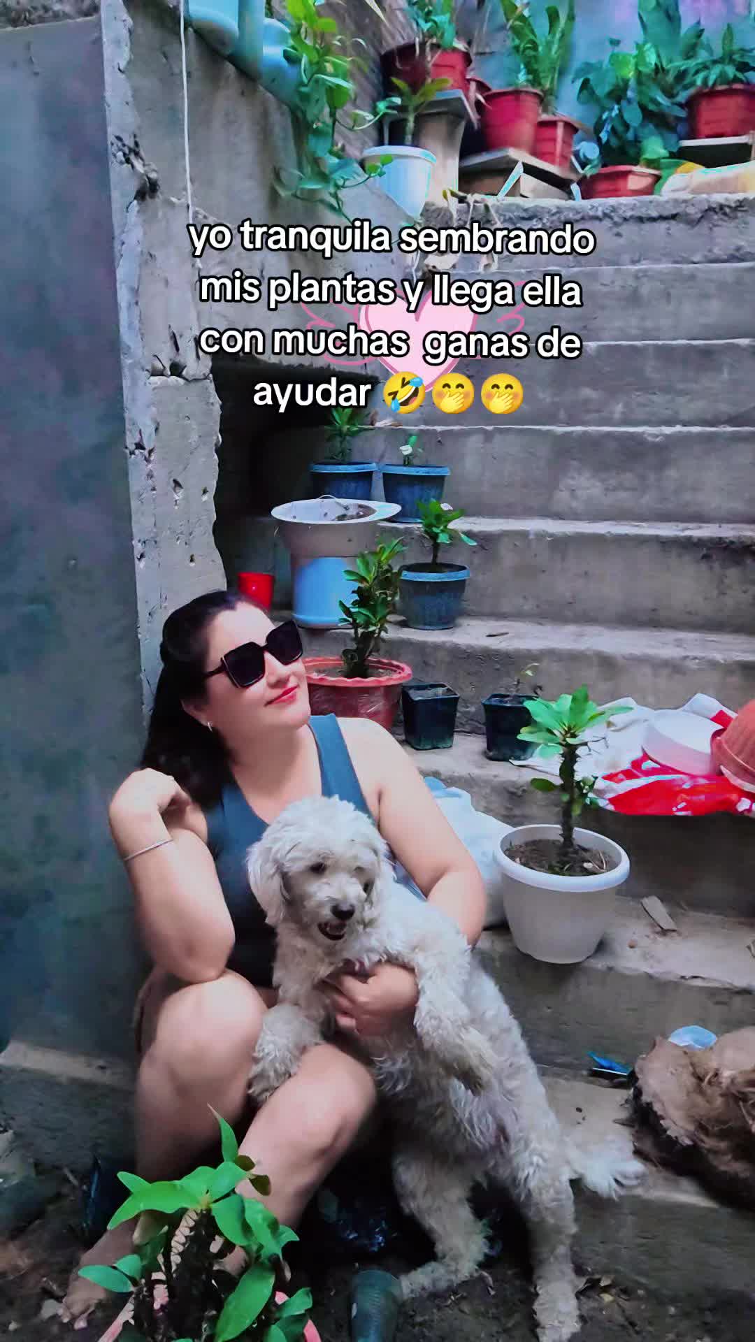 @sindryta